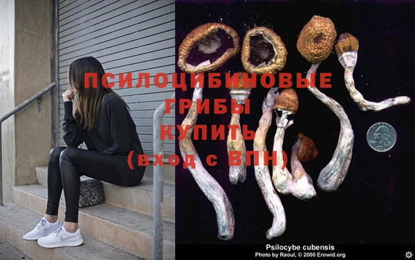 мескалин Абаза