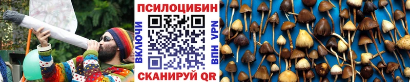 закладки  Мосальск  Галлюциногенные грибы Cubensis 