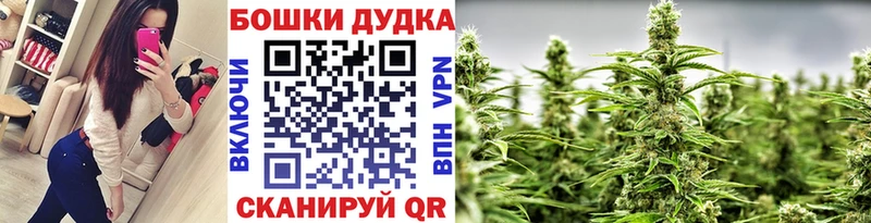 Конопля MAZAR  Мосальск 